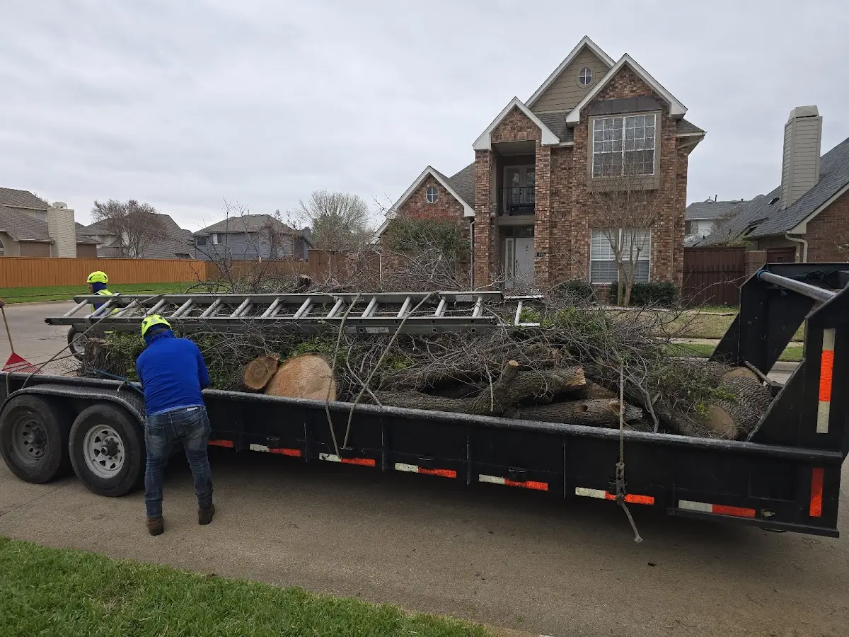 Expert Crown Reduction with proper safety equipment in Stoneville